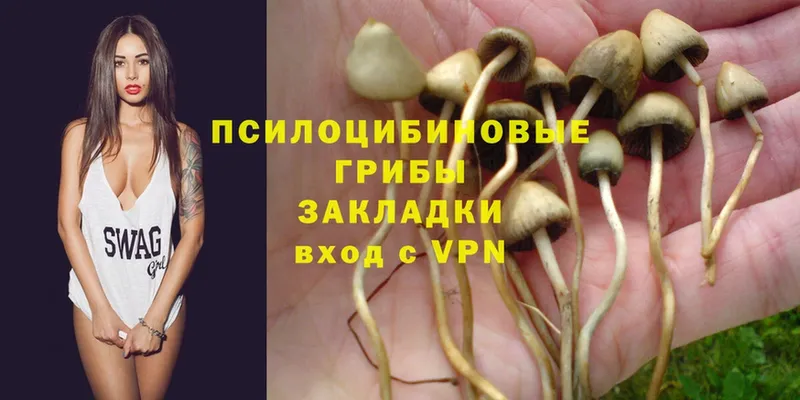 Псилоцибиновые грибы Psilocybe  hydra зеркало  Липки 